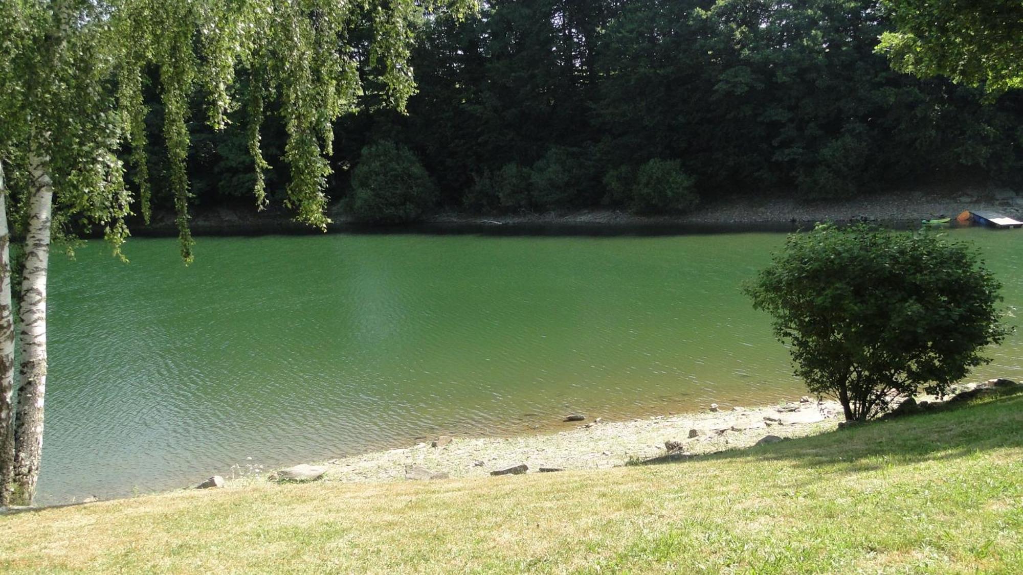 Maison Lac De Pareloup -Les Pieds Dans L'Eau- Arvieu المظهر الخارجي الصورة
